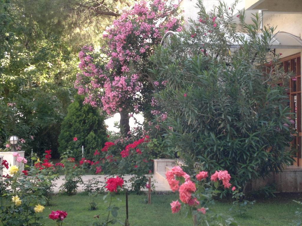 Hotel Arteka Ocaklar Dış mekan fotoğraf